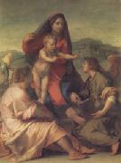 Andrea del Sarto The Madonna of the Stair (san05) oil painting picture wholesale